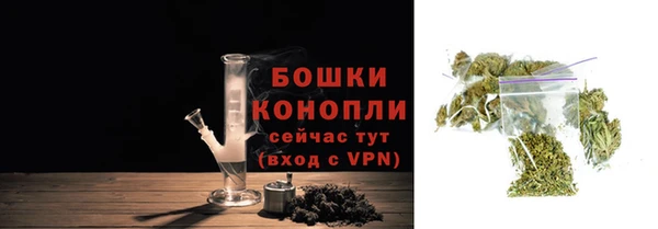 гидропоника Горно-Алтайск