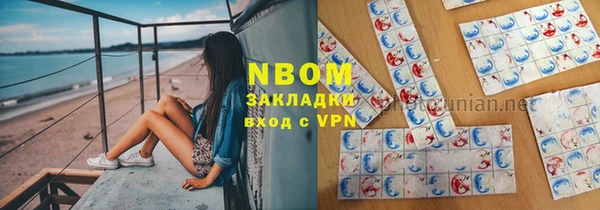ГАЛЛЮЦИНОГЕННЫЕ ГРИБЫ Вяземский